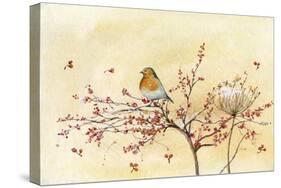 Christmas Robin-Lauren Wan-Stretched Canvas