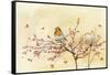 Christmas Robin-Lauren Wan-Framed Stretched Canvas