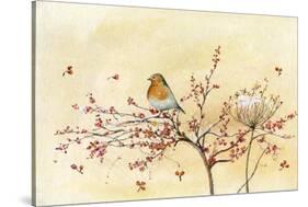 Christmas Robin-Lauren Wan-Stretched Canvas