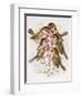 Christmas Robins-Stanley Cooke-Framed Giclee Print