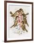 Christmas Robins-Stanley Cooke-Framed Giclee Print