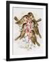 Christmas Robins-Stanley Cooke-Framed Giclee Print