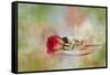 Christmas Rose-Jai Johnson-Framed Stretched Canvas