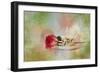 Christmas Rose-Jai Johnson-Framed Giclee Print