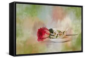 Christmas Rose-Jai Johnson-Framed Stretched Canvas