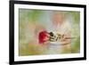 Christmas Rose-Jai Johnson-Framed Giclee Print