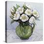 Christmas Roses, 1984-Gillian Lawson-Stretched Canvas