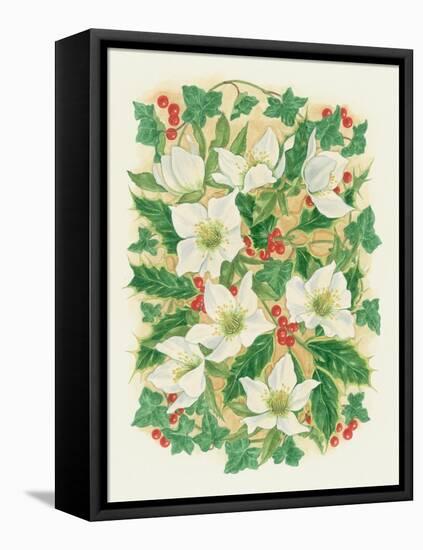 Christmas Roses, 1997-Linda Benton-Framed Stretched Canvas