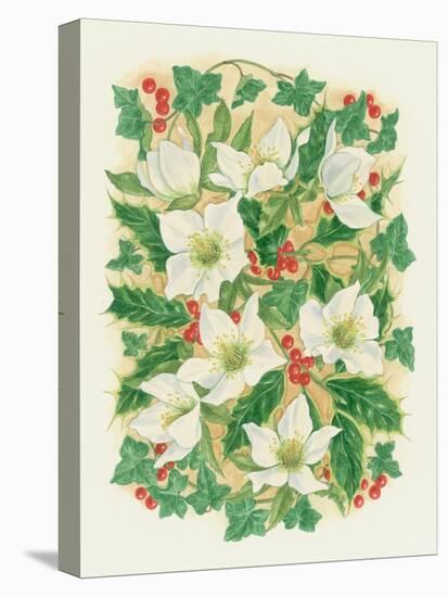 Christmas Roses, 1997-Linda Benton-Stretched Canvas