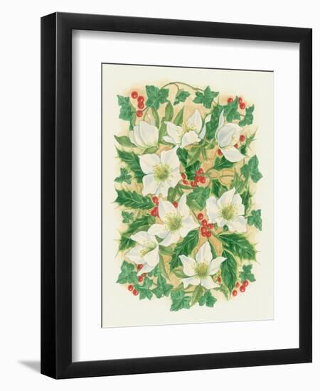 Christmas Roses, 1997-Linda Benton-Framed Premium Giclee Print