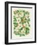 Christmas Roses, 1997-Linda Benton-Framed Premium Giclee Print