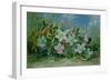 Christmas Roses and Holly-Albert Williams-Framed Giclee Print