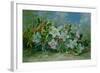 Christmas Roses and Holly-Albert Williams-Framed Giclee Print
