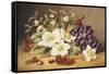 Christmas Roses with Mistletoe-Emma Walter-Framed Stretched Canvas