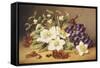 Christmas Roses with Mistletoe-Emma Walter-Framed Stretched Canvas