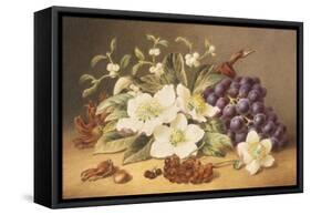 Christmas Roses with Mistletoe-Emma Walter-Framed Stretched Canvas