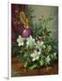 Christmas Roses-Albert Williams-Framed Giclee Print