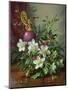 Christmas Roses-Albert Williams-Mounted Giclee Print