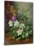 Christmas Roses-Albert Williams-Stretched Canvas