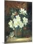 Christmas Roses-William Jabez Muckley-Mounted Premium Giclee Print