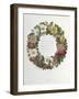 Christmas Roses-Pierre-Joseph Redouté-Framed Giclee Print