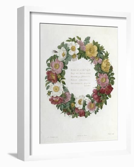 Christmas Roses-Pierre-Joseph Redouté-Framed Giclee Print