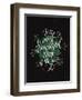 Christmas Sayings IV-Becky Thorns-Framed Art Print