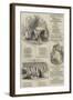 Christmas Scenes-Alfred Crowquill-Framed Giclee Print