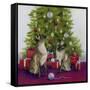 Christmas Siamese Cats-Janet Pidoux-Framed Stretched Canvas