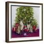 Christmas Siamese Cats-Janet Pidoux-Framed Giclee Print