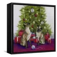 Christmas Siamese Cats-Janet Pidoux-Framed Stretched Canvas