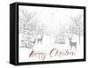 Christmas Silver 1-Jean Plout-Framed Stretched Canvas