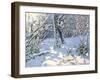 Christmas Sledging in Allestree Woods, 2013-Andrew Macara-Framed Giclee Print