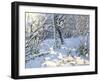 Christmas Sledging in Allestree Woods, 2013-Andrew Macara-Framed Giclee Print