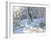 Christmas Sledging in Allestree Woods, 2013-Andrew Macara-Framed Giclee Print