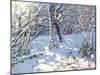 Christmas Sledging in Allestree Woods, 2013-Andrew Macara-Mounted Giclee Print