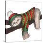Christmas Sloth III-Elizabeth Medley-Stretched Canvas