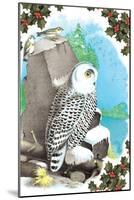 Christmas Snow Owl-Sara Pierce-Mounted Art Print