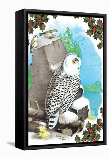 Christmas Snow Owl-Sara Pierce-Framed Stretched Canvas