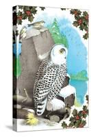 Christmas Snow Owl-Sara Pierce-Stretched Canvas