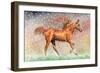 Christmas Snow-Tony Todd-Framed Giclee Print