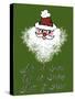 Christmas Snowflake Santa-Cyndi Lou-Stretched Canvas