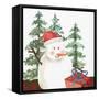 Christmas Snowman-Kim Allen-Framed Stretched Canvas