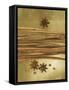 Christmas Spices (Cinnamon Sticks and Star Anise)-Achim Sass-Framed Stretched Canvas