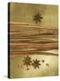 Christmas Spices (Cinnamon Sticks and Star Anise)-Achim Sass-Stretched Canvas
