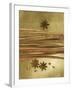 Christmas Spices (Cinnamon Sticks and Star Anise)-Achim Sass-Framed Photographic Print