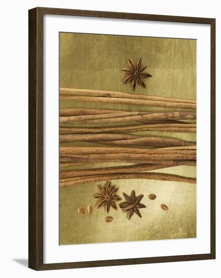 Christmas Spices (Cinnamon Sticks and Star Anise)-Achim Sass-Framed Photographic Print