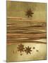 Christmas Spices (Cinnamon Sticks and Star Anise)-Achim Sass-Mounted Photographic Print