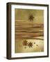 Christmas Spices (Cinnamon Sticks and Star Anise)-Achim Sass-Framed Photographic Print