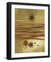 Christmas Spices (Cinnamon Sticks and Star Anise)-Achim Sass-Framed Photographic Print